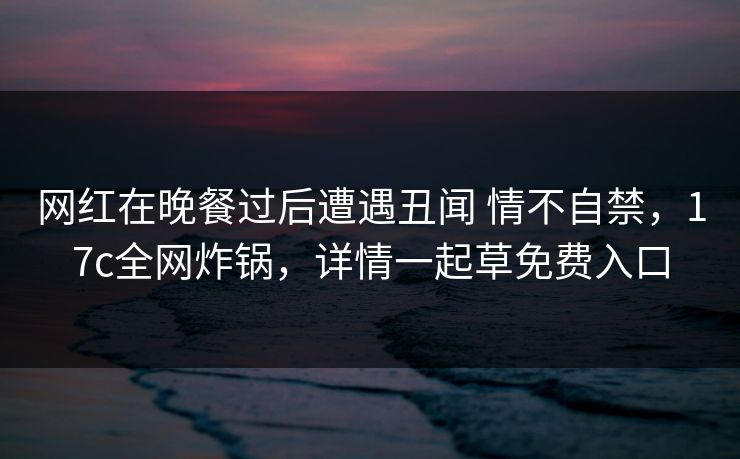 网红在晚餐过后遭遇丑闻 情不自禁，17c全网炸锅，详情一起草免费入口
