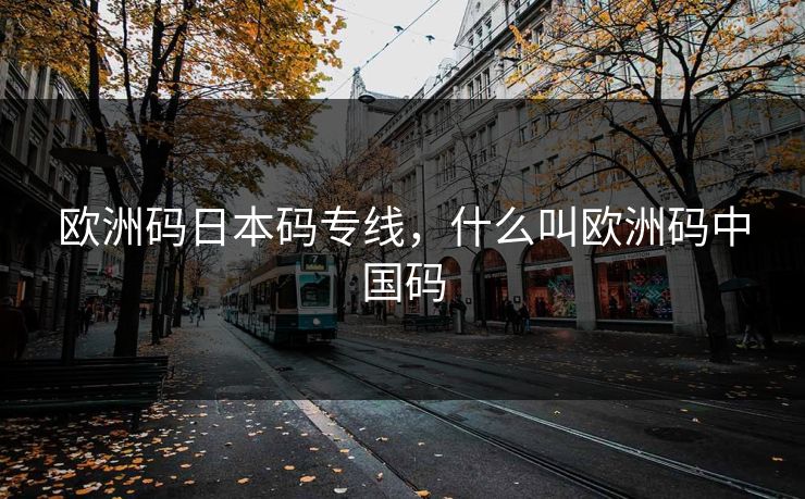 欧洲码日本码专线,什么叫欧洲码中国码 欧洲码日本码专线,什么叫欧洲码中国码